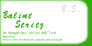 balint stritz business card